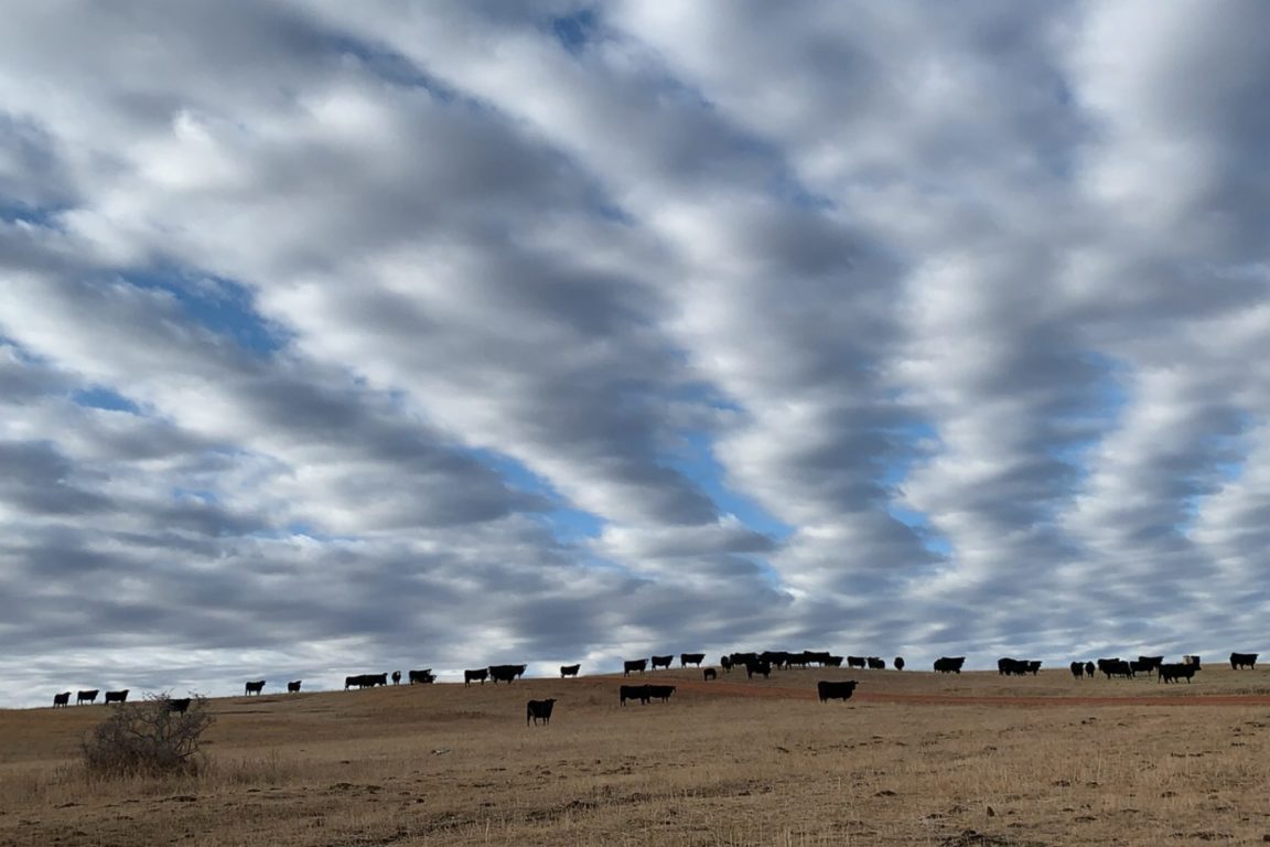 Gallery Lone Butte Ranch
